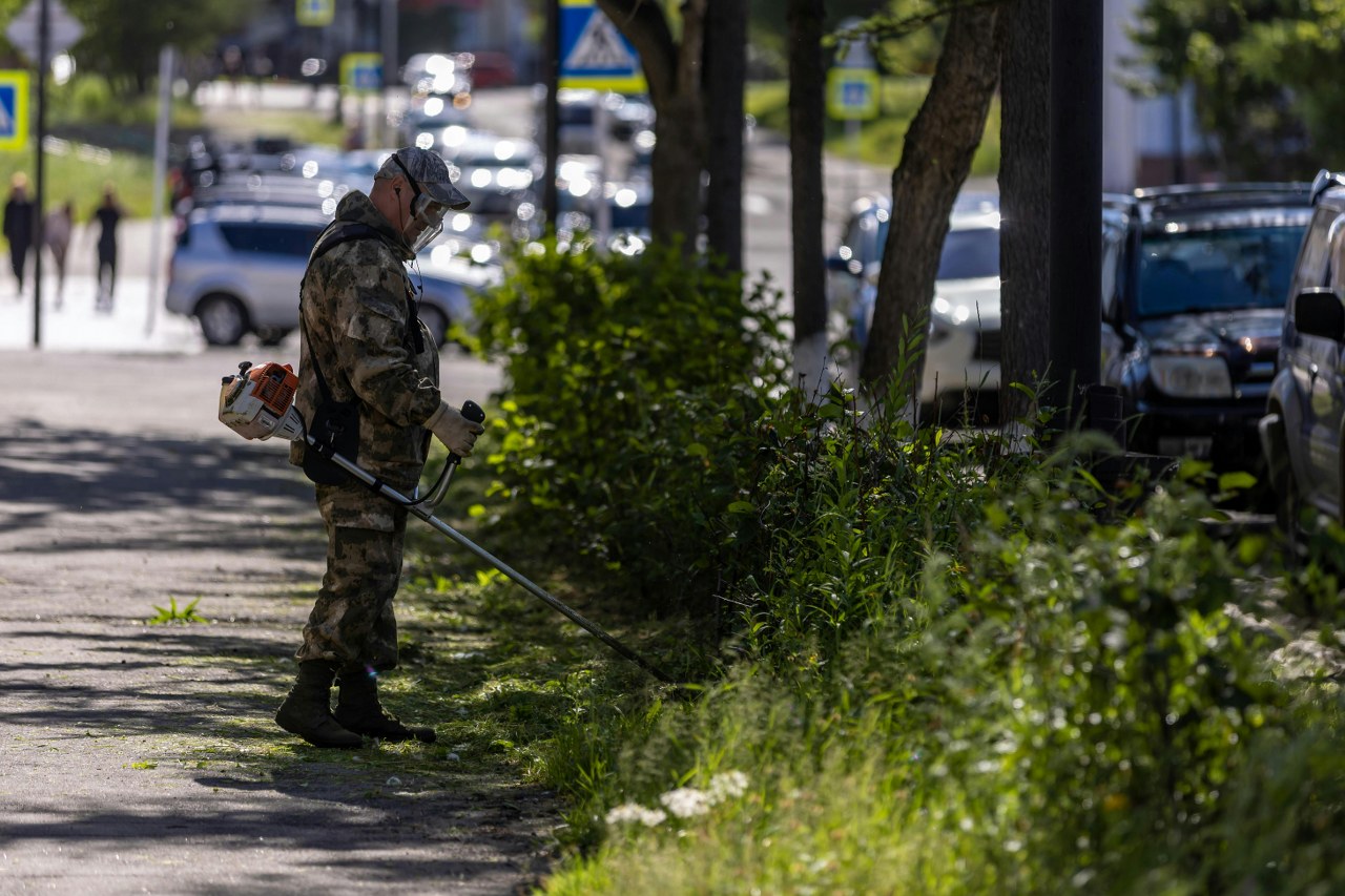 De ce pornește greu motocoasa și ce rol are o bujie motocoasă